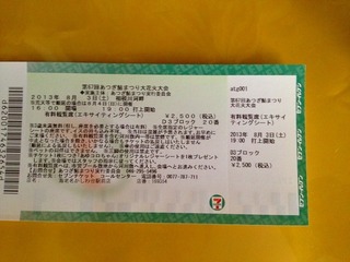 厚木花火大会有料チケット
